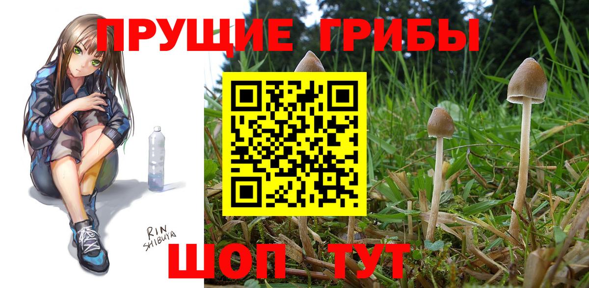 Галлюциногенные грибы Magic Shrooms  Галлюциногенные грибы MAGIC MUSHROOMS  Вход с VPN  Реж 