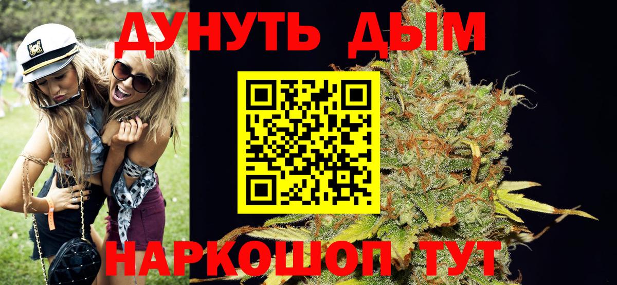 Бошки марихуана сатива Реж